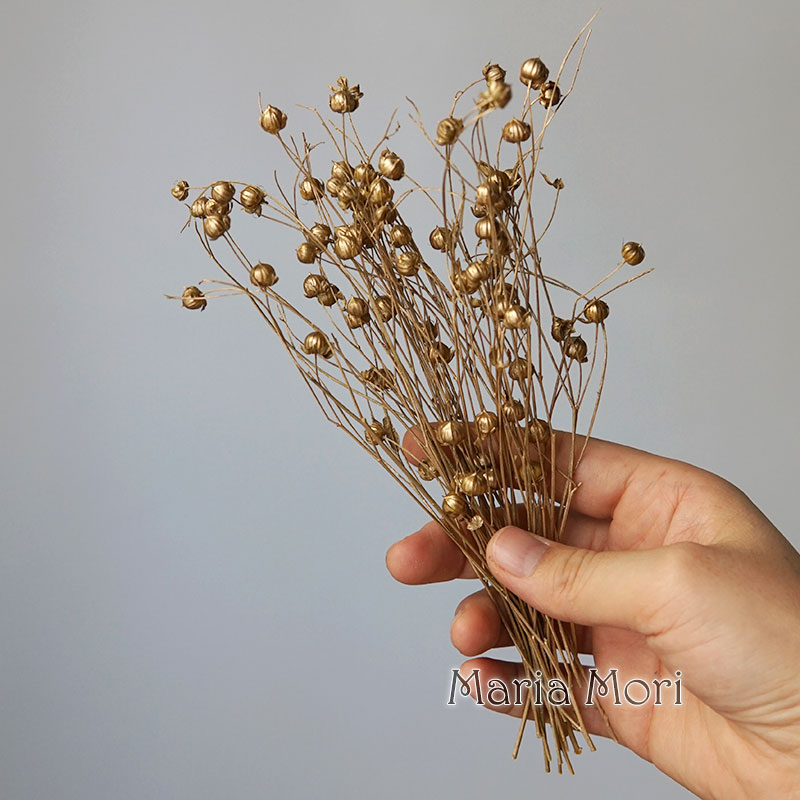 5g Preserved Flax Bean Natural - Candle Making Supplies Online recensione e prezzo
