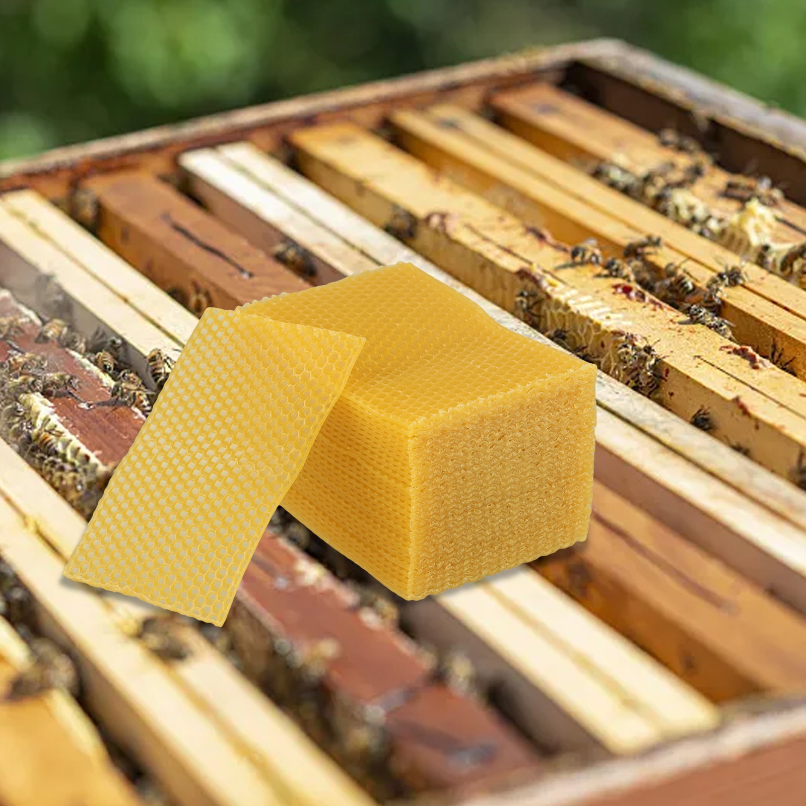 5.24 X 3.54 Beehive Foundation - Beeswax Sheet Roll recensione e prezzo